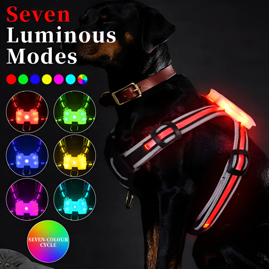 Nylon luminous dog charging leash with seven-colour LED pattern and explosion-proof hand holding rope