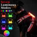 Nylon luminous dog charging leash with seven-colour LED pattern and explosion-proof hand holding rope