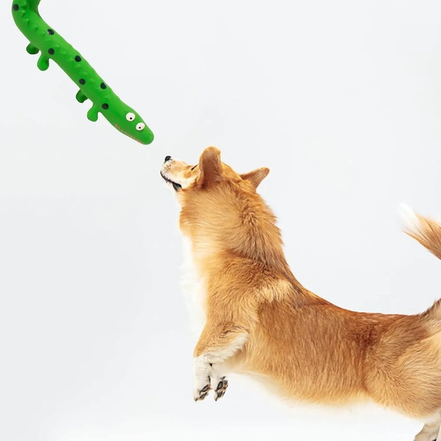 Green cartoon lizard-shaped latex dog chew toy with squeaker on a white background.