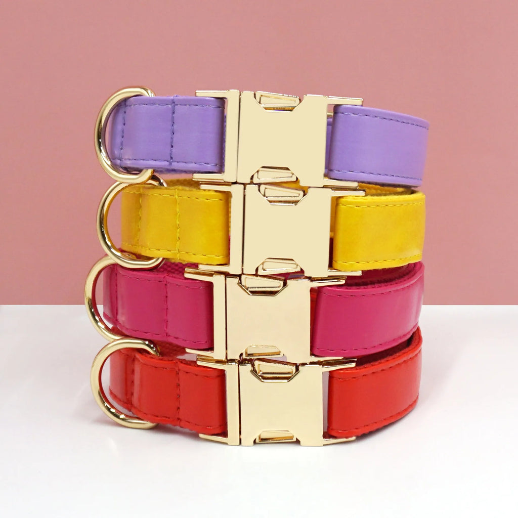 Simple colour block leather dog collar shown on a D-ring, available in multiple colours and sizes from XS to XL.