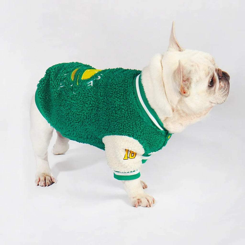 Green fleece-lined winter dog clothing coat in cotton fabric available in multiple sizes
