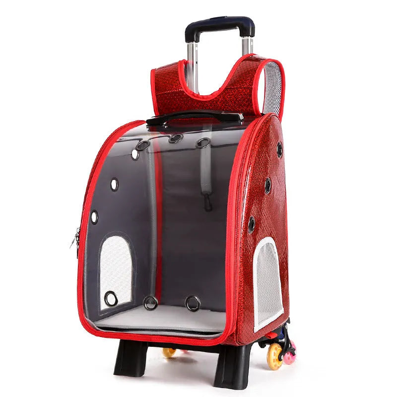 Transparent pet trolley bag with folding shoulder strap in blue colour