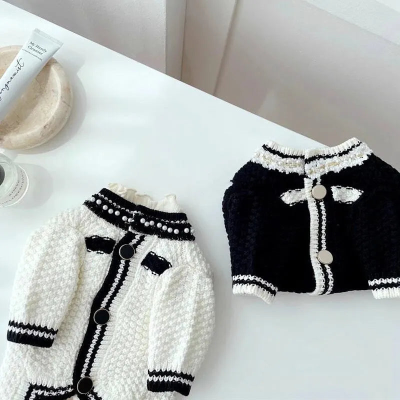 Korean style white pearl collar dog sweater on small dog showing princess design