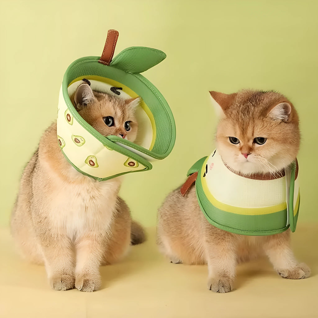 Soft EPE cat recovery collar with adjustable strap in multiple sizes for postoperative protection