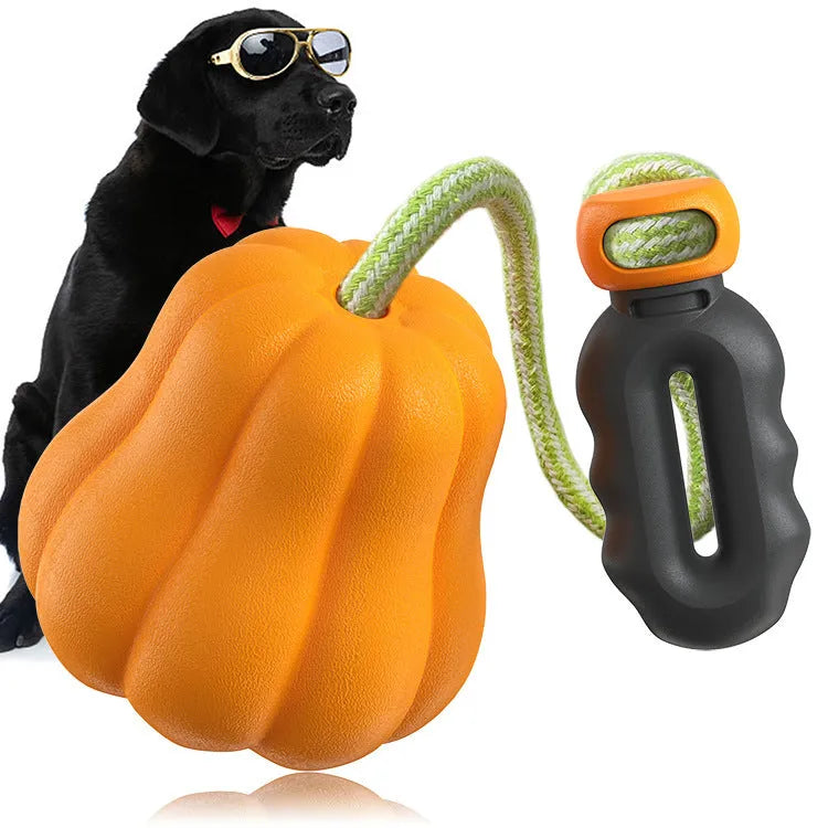 Pumpkin coloured plastic molar dog toy with rope attachment for outdoor throwing