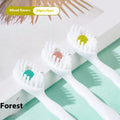 Box containing 20 small white disposable bead toothbrushes with compact rounded heads for travel.