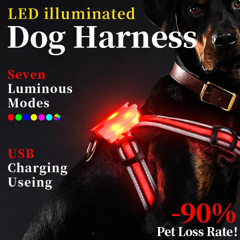 Nylon luminous dog charging leash with seven-colour LED pattern and explosion-proof hand holding rope