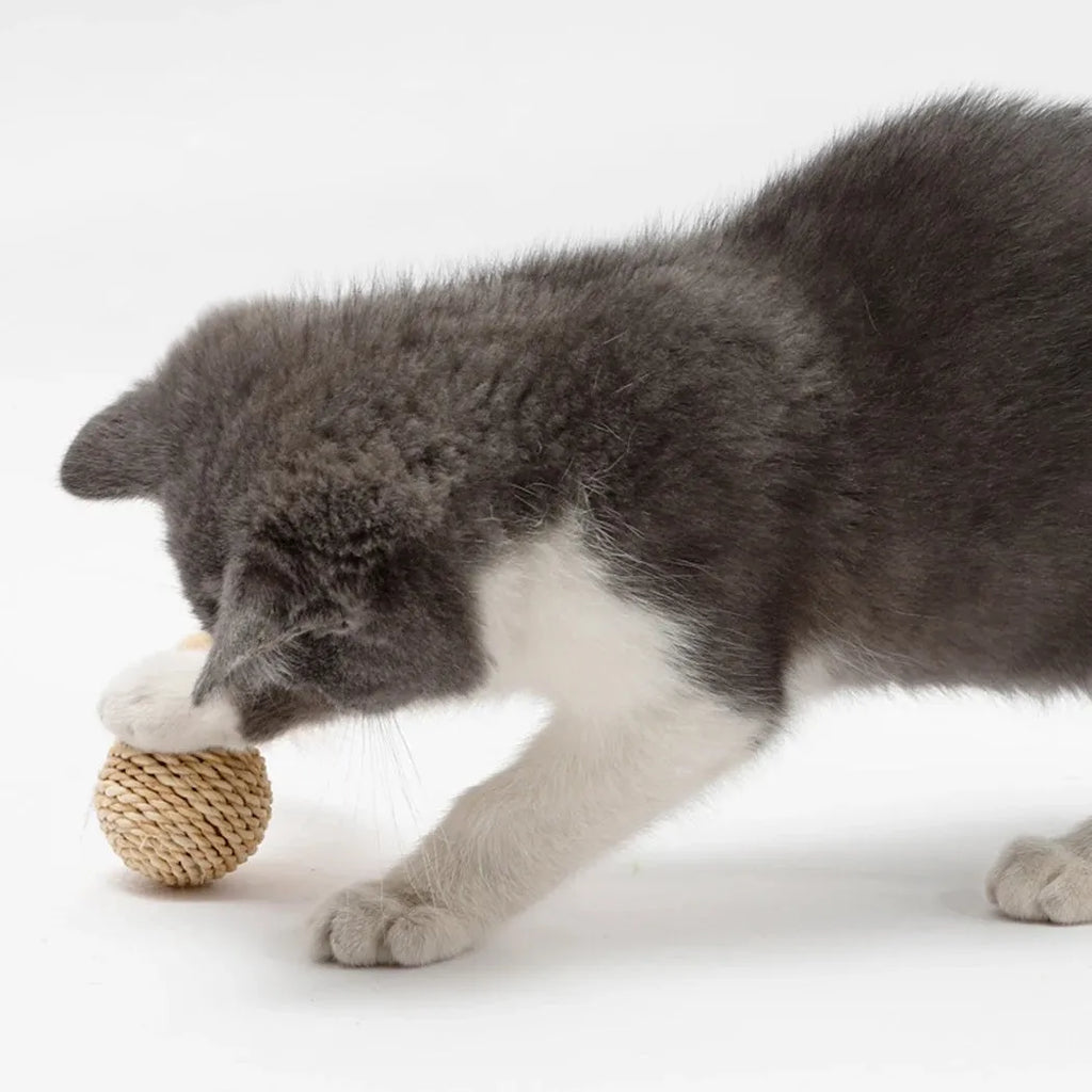 Two cat toys: hollow rattan ball and faux feather ball with measurements shown