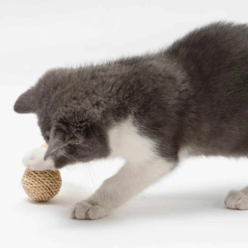 Two cat toys: hollow rattan ball and faux feather ball with measurements shown