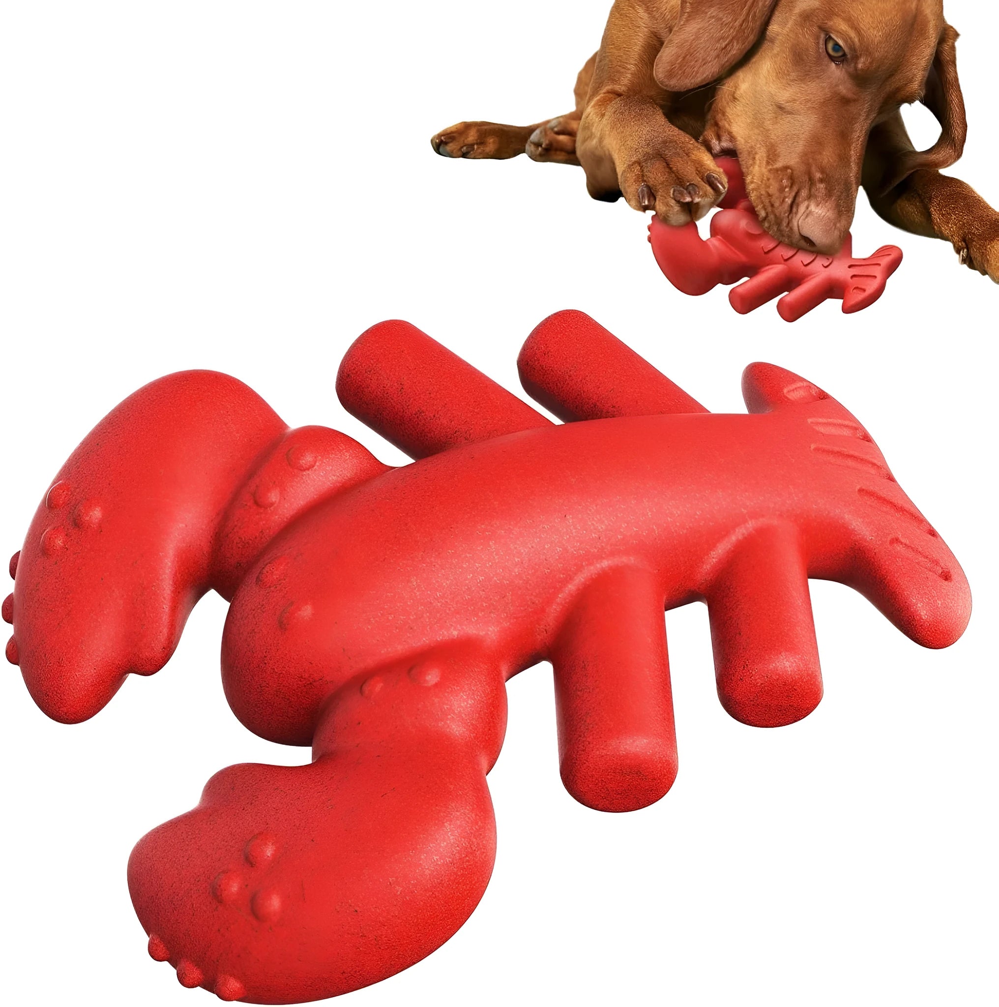 Red nylon chew bone dog toy for large breed aggressive chewers