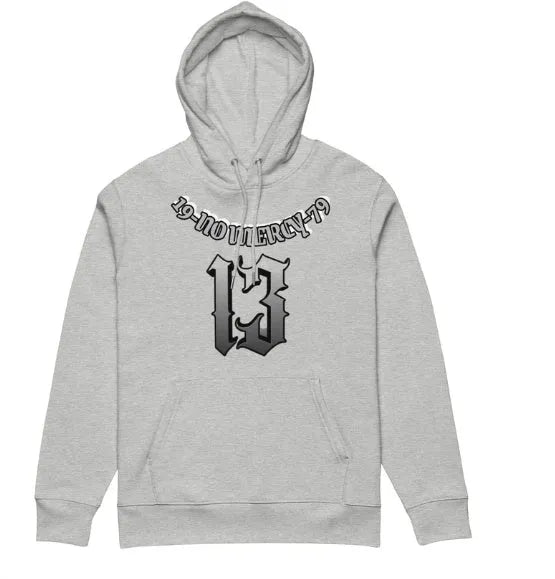 Fleece-lined loose fit hooded sweater for team uniform or business attire in multiple colours.
