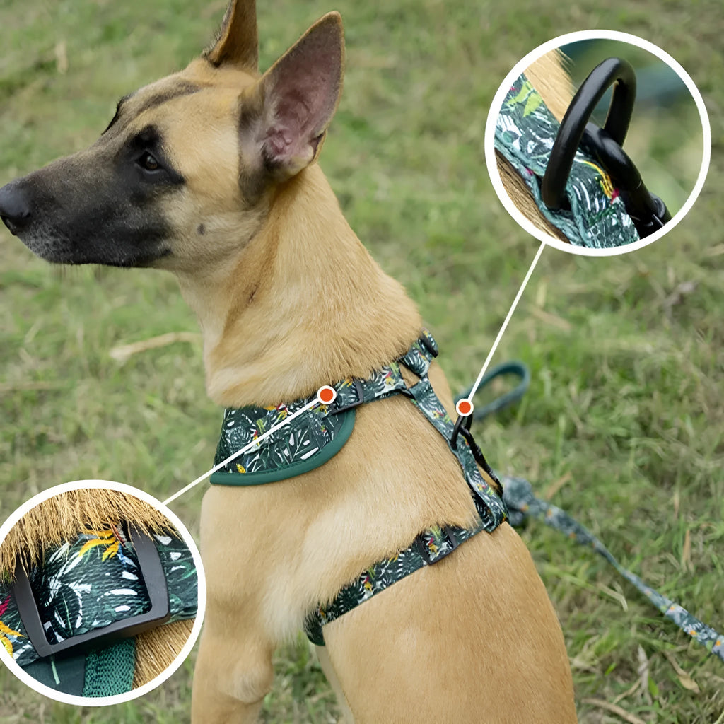 Adjustable cloth dog harness set with rope, collar, waste bag, bow tie and triangular scarf accessories