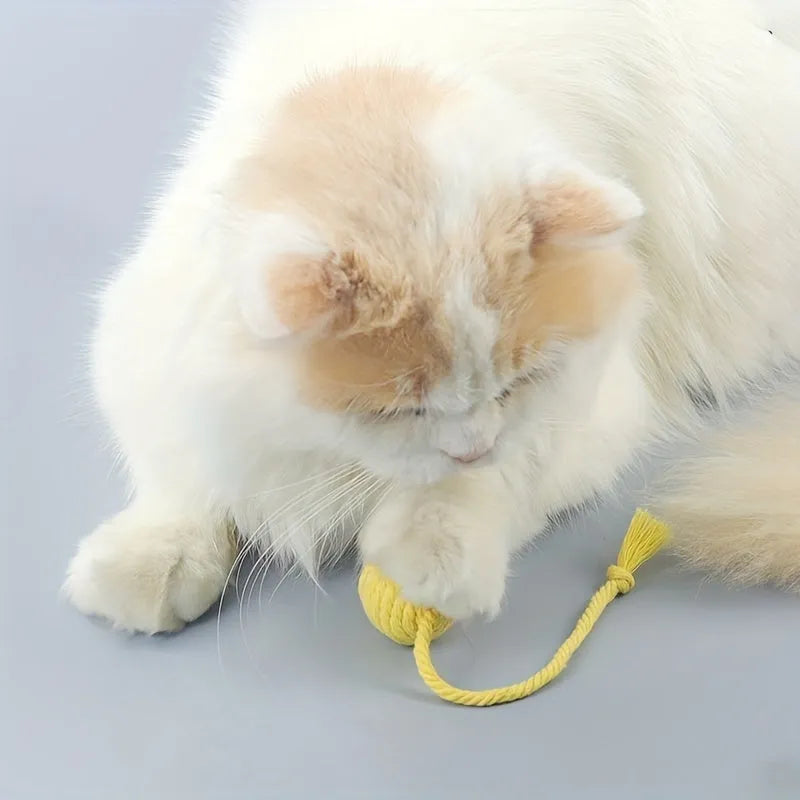 Colourful cat toy ball with rope attachment and internal bell for interactive kitten play