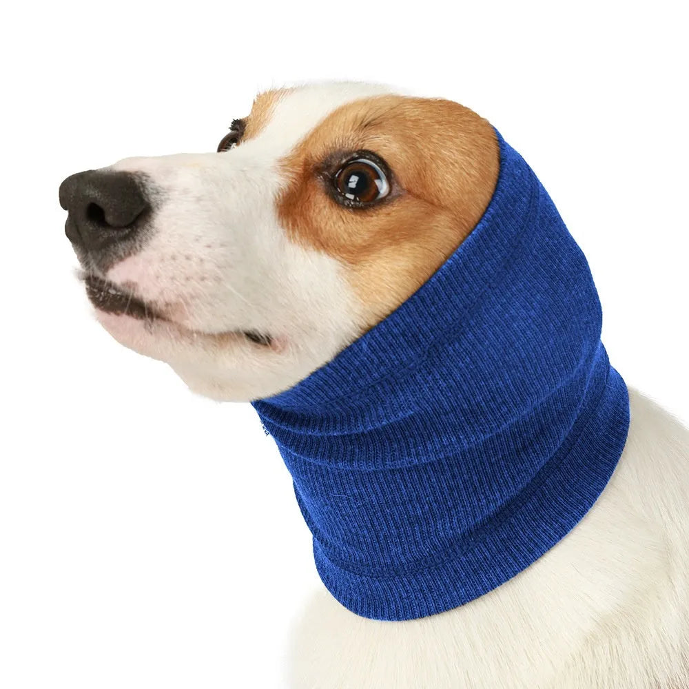 Blue polyester dog bandana scarf tied around a dog's neck, shown in size M.