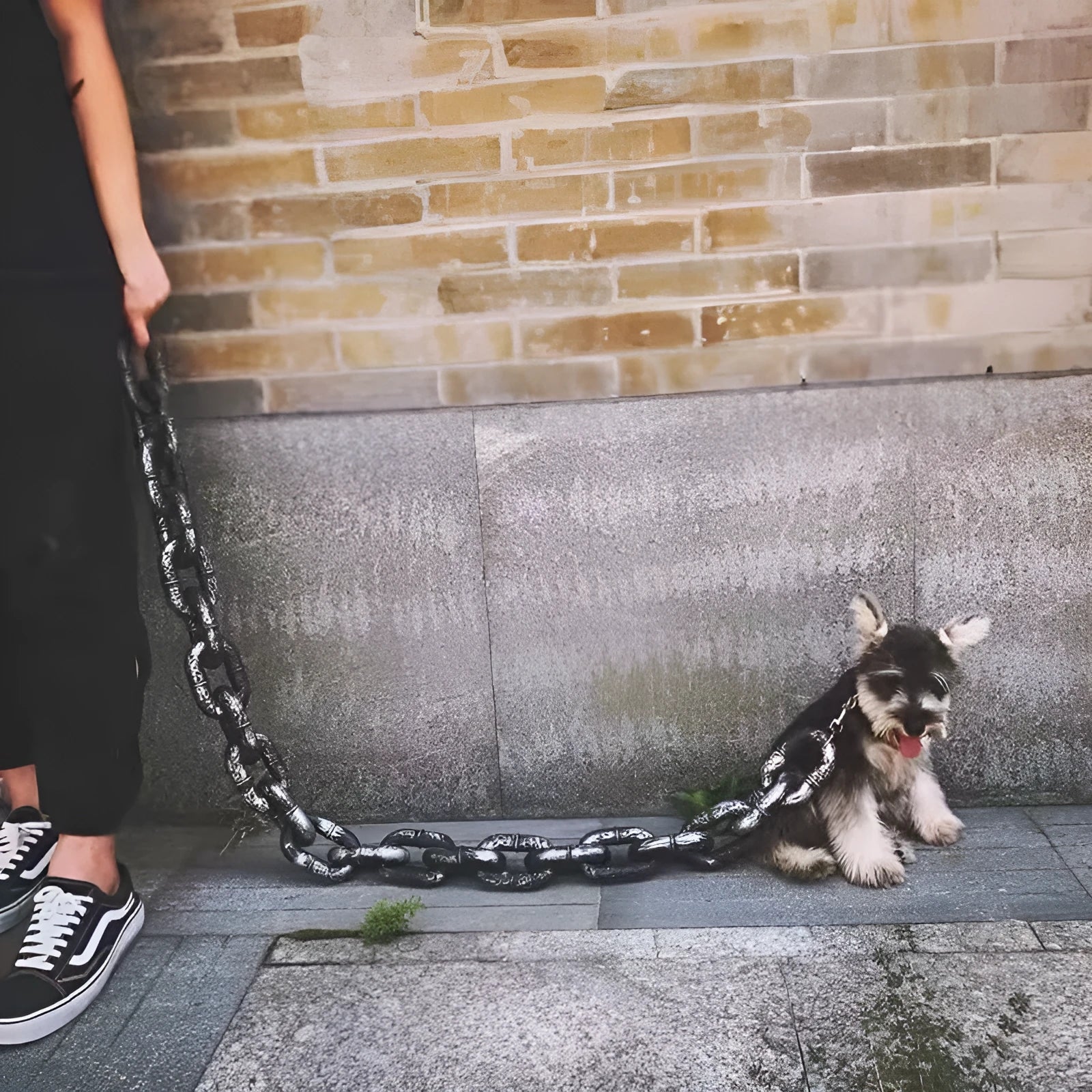 Polypropylene dog leash replica prop in antique bronze, silver, and black colour options.