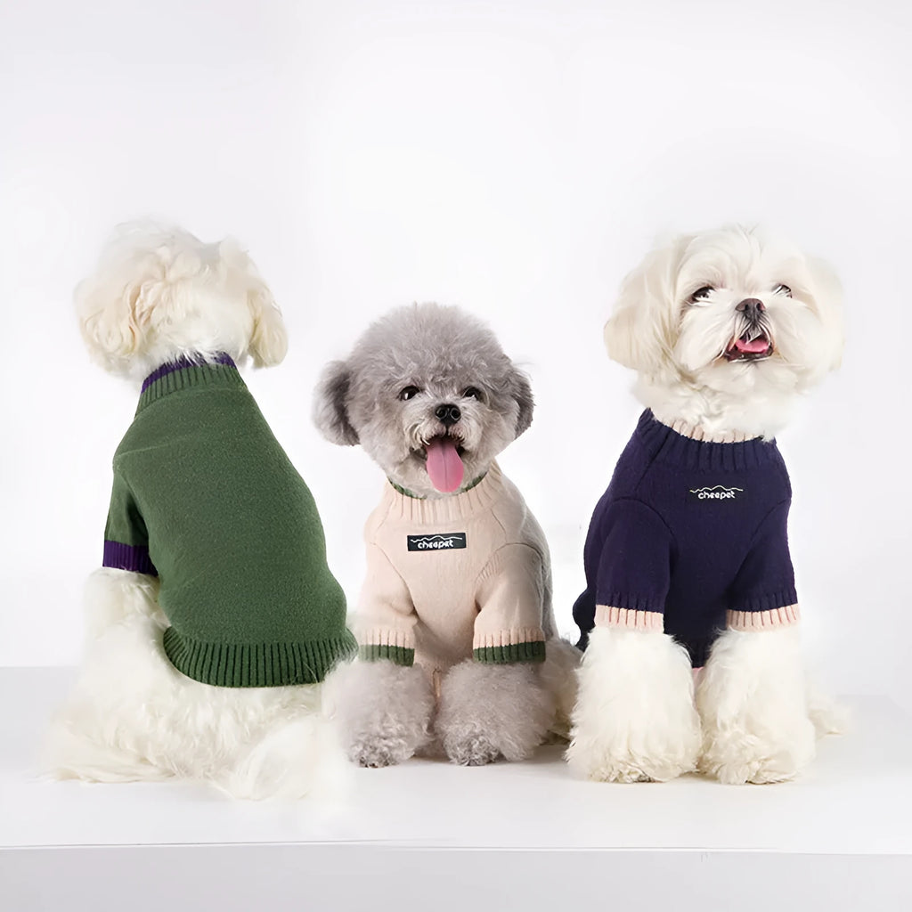 British style two-leg dog sweater in wool blend, shown in Crown Blue colour on a dog.