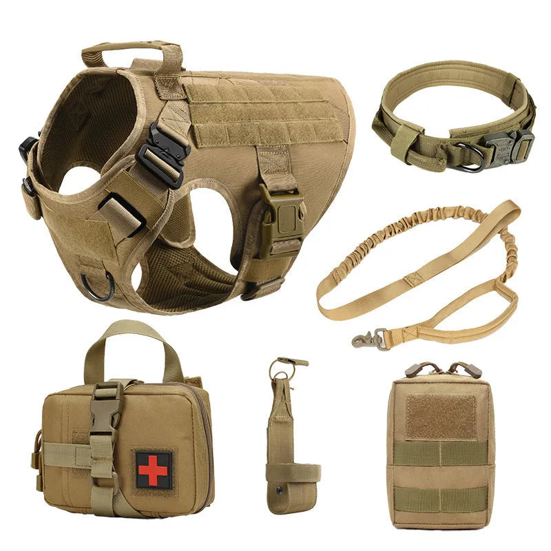 Dog wearing combat vest training gear with chain ring and rope components