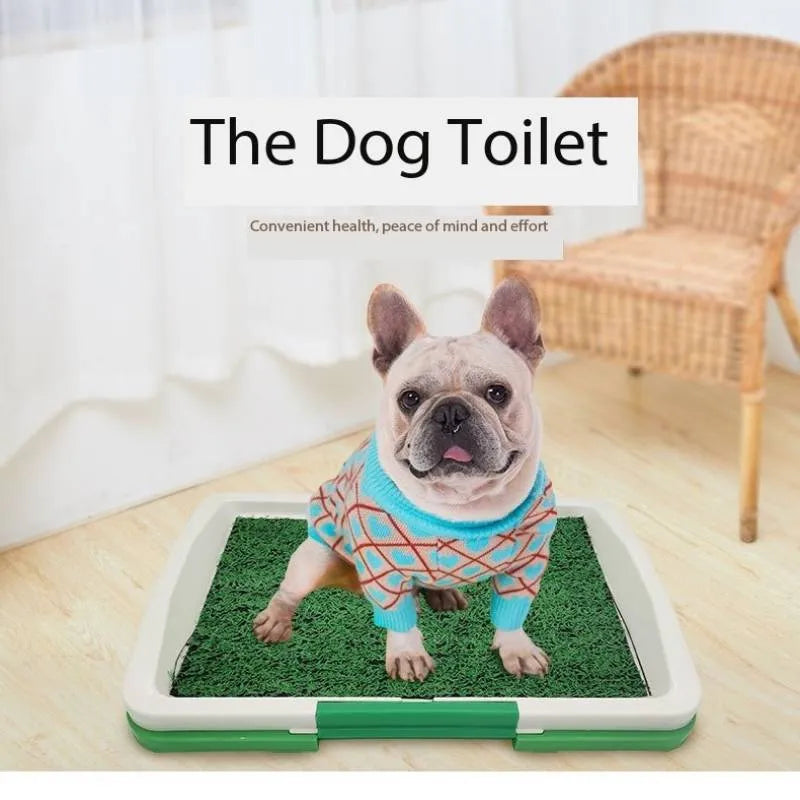 Green artificial turf dog toilet with removable plastic collection tray for indoor potty training.