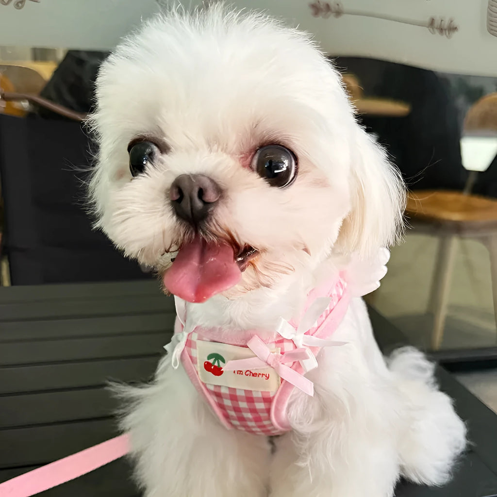 Cotton dog harness set for small dogs in pink colour with chest and back sections