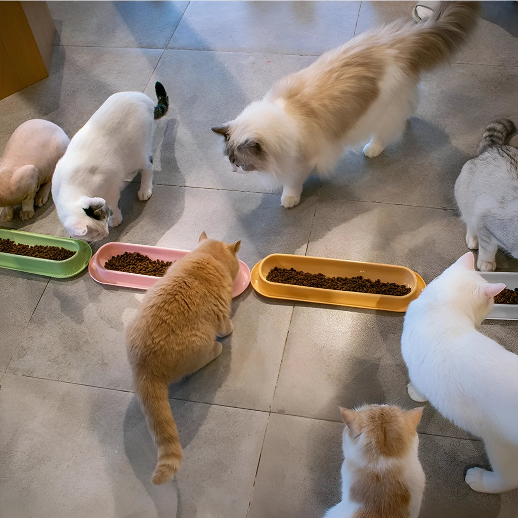 Green 4-piece pet feeder set with two bowls on a non-slip silicone mat