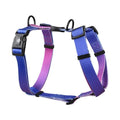 Gradient colour pet chest harness for dogs and cats in purple, blue, neon, or green patterns.