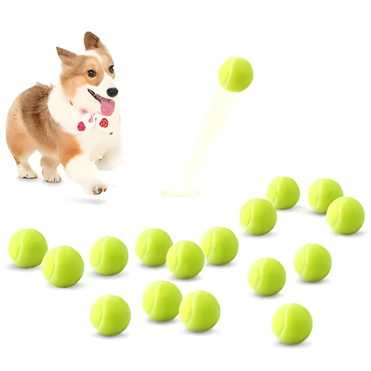 6.3cm bite-resistant rubber dog tennis ball in assorted colours including pink, blue, and green.