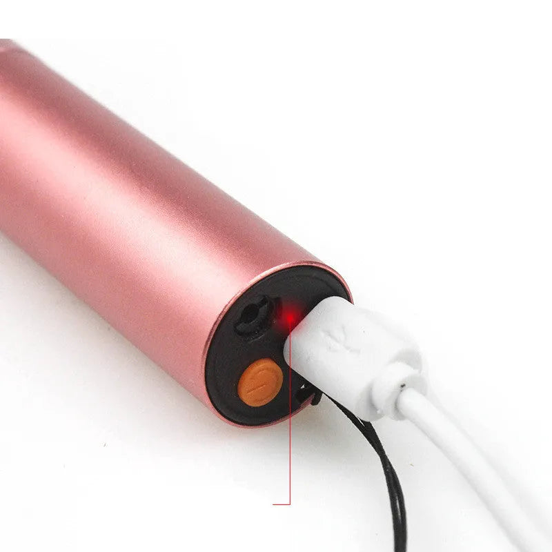 2 in 1 cat ringworm detection lamp and laser cat stick in aluminium alloy, 9.8cm by 2cm, Rose Gold or Black