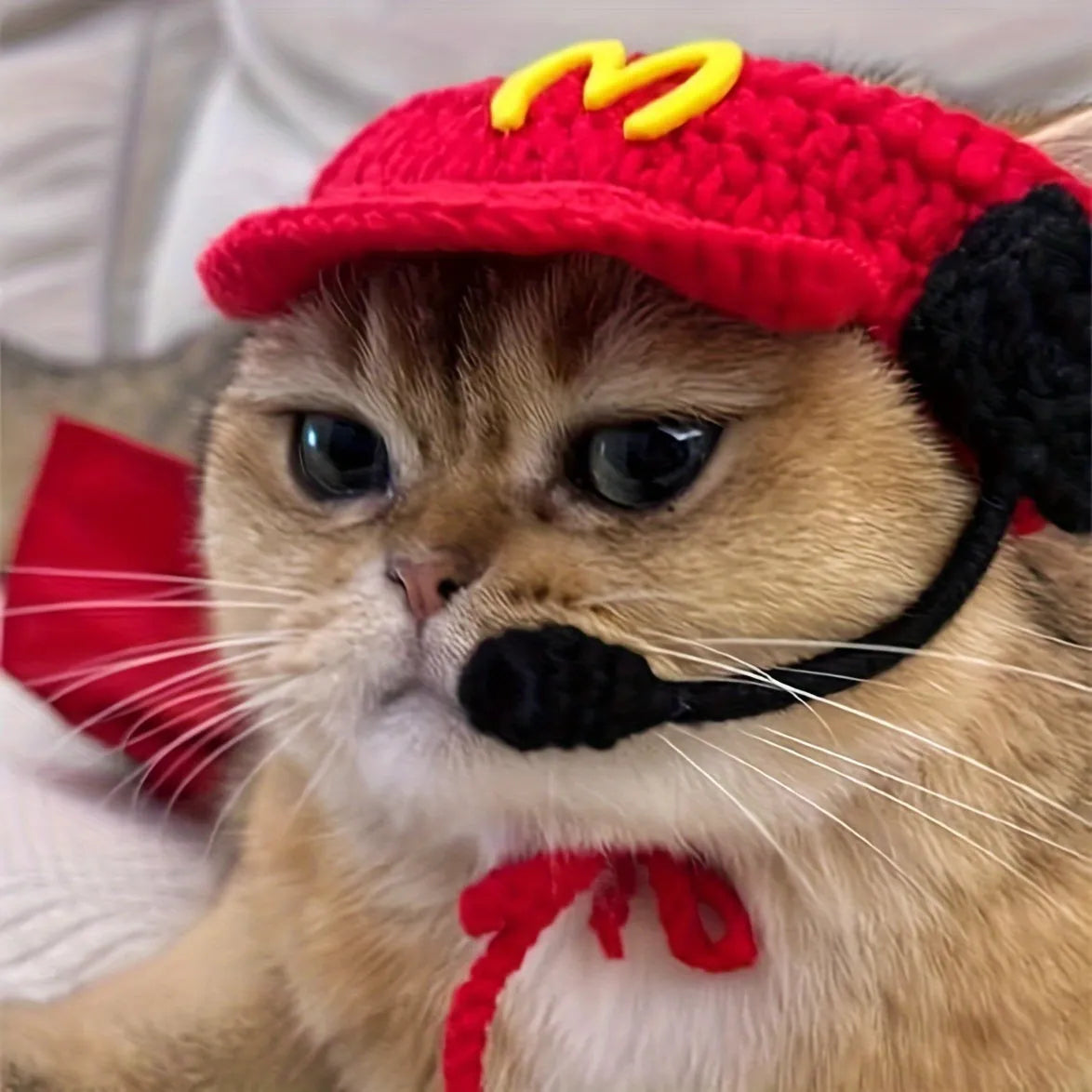 Handmade cotton knitted chef hat pet costume for small to medium-sized cats and dogs