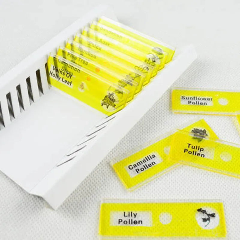 Set of 48 colour-coded plastic microscope slides for children, showing plant, insect, and animal specimens.