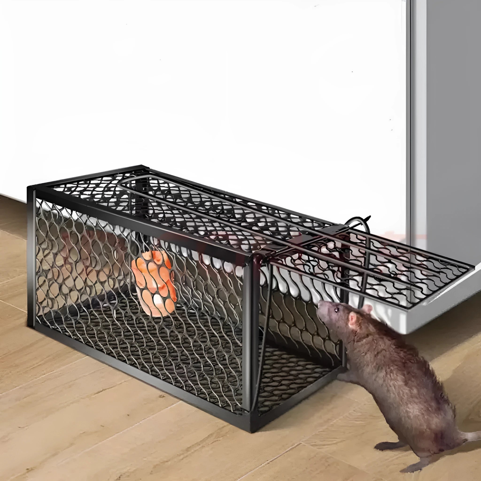 Indoor automatic mouse cage trap in metal and plastic construction with small medium large size options
