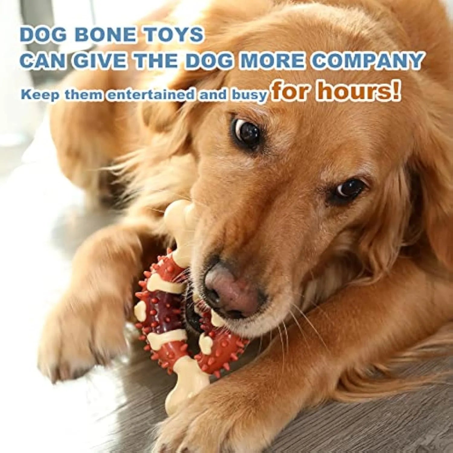 Natural rubber bone-shaped dog teeth grinding chew toy shown in large and small sizes.