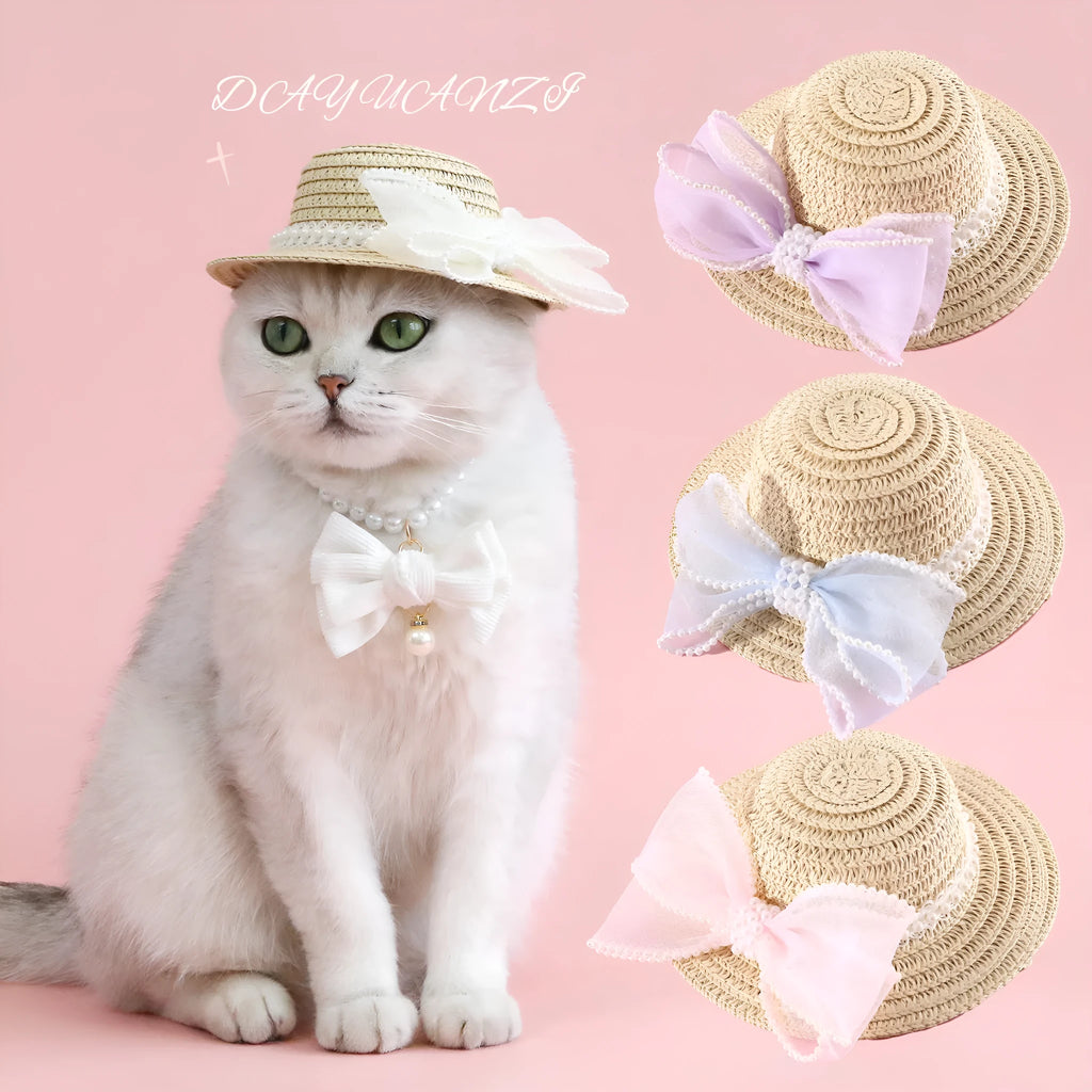 Cat wearing a woven Lafite leaves straw hat with a blue pearl butterfly bow.