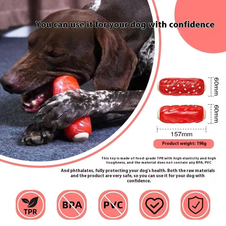 Primary colour plastic molar rod dog chew toy for teething and enrichment play