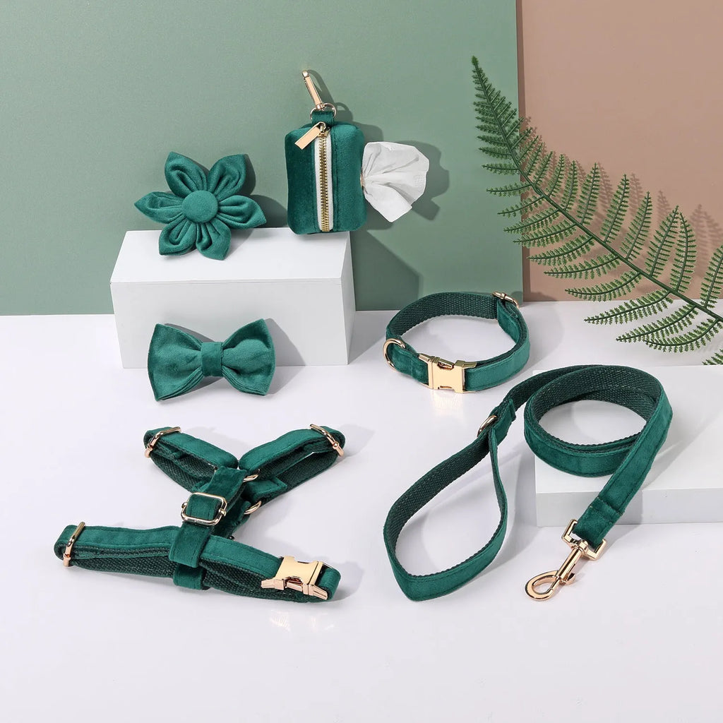 Pet collar and harness set with velvet material, traction rope, chest strap, bow tie, flower accessory, and toilet bag
