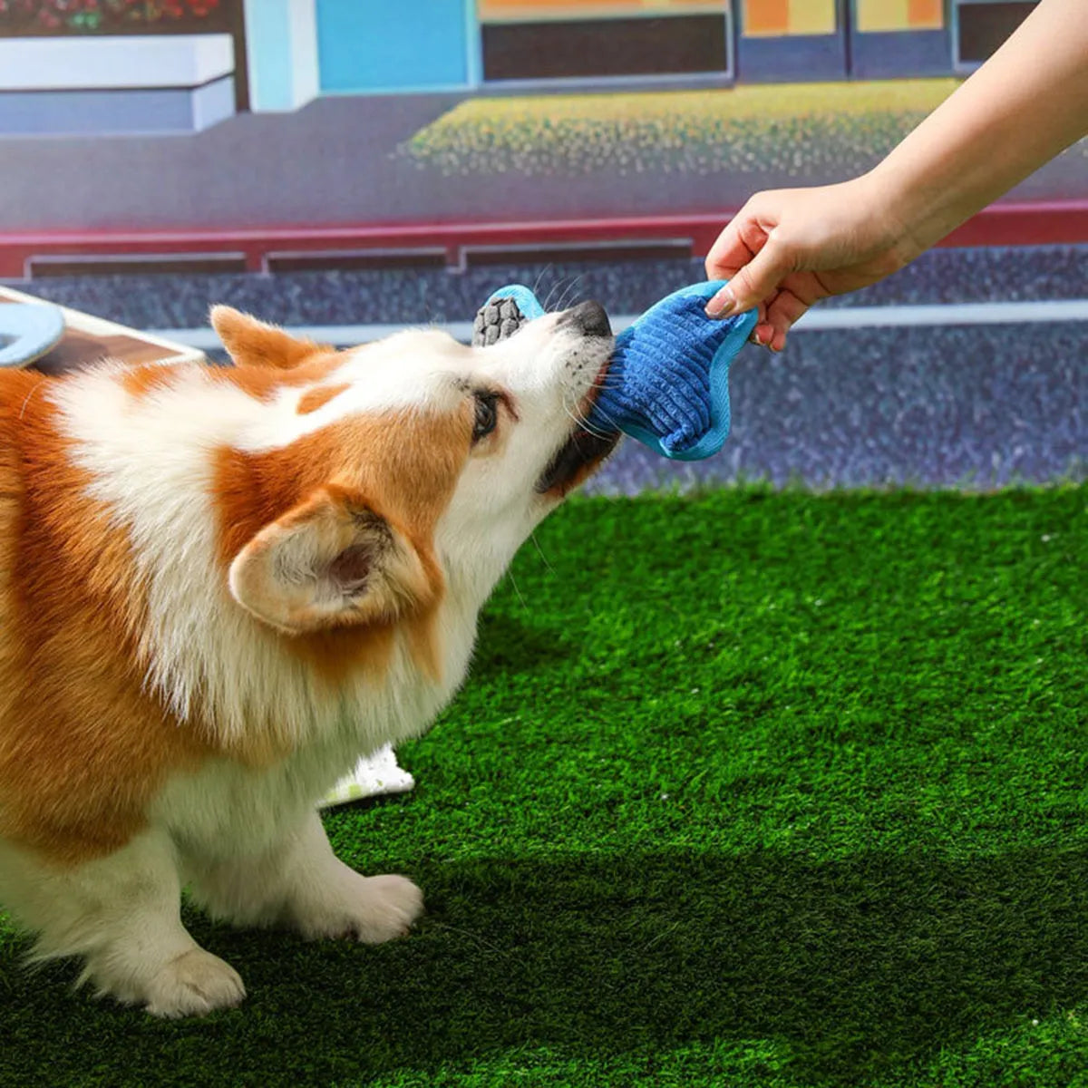 Blue plush teddy dog toy with a bone shape, designed for small to medium breeds with squeaker and crackling paper inside.