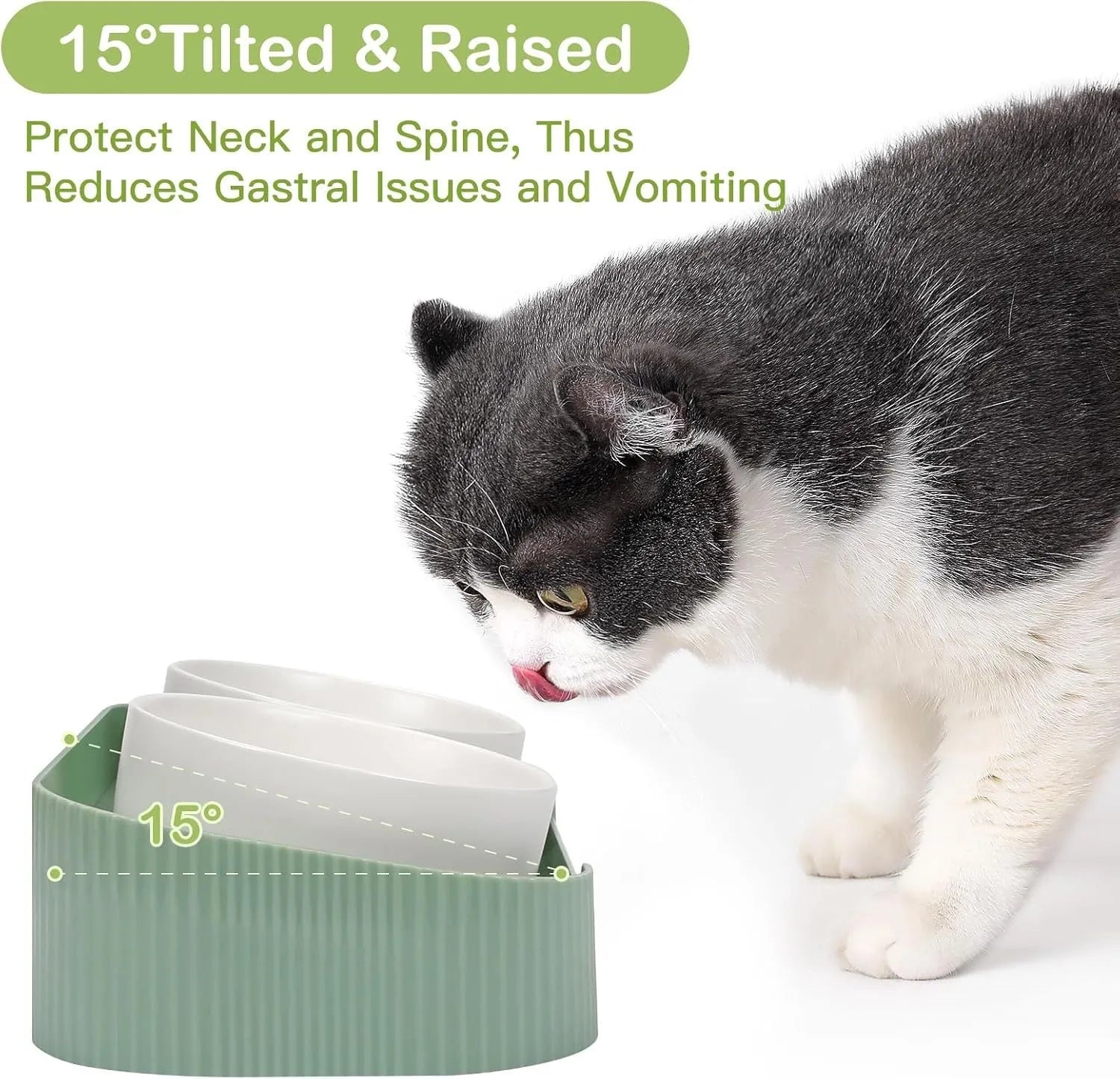 Ceramic elevated cat bowls set with green bowls on tilted stand