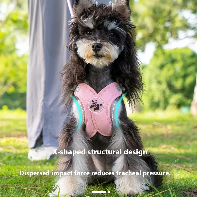 Polyester pet vest and hand-holding rope set available in four colours and sizes