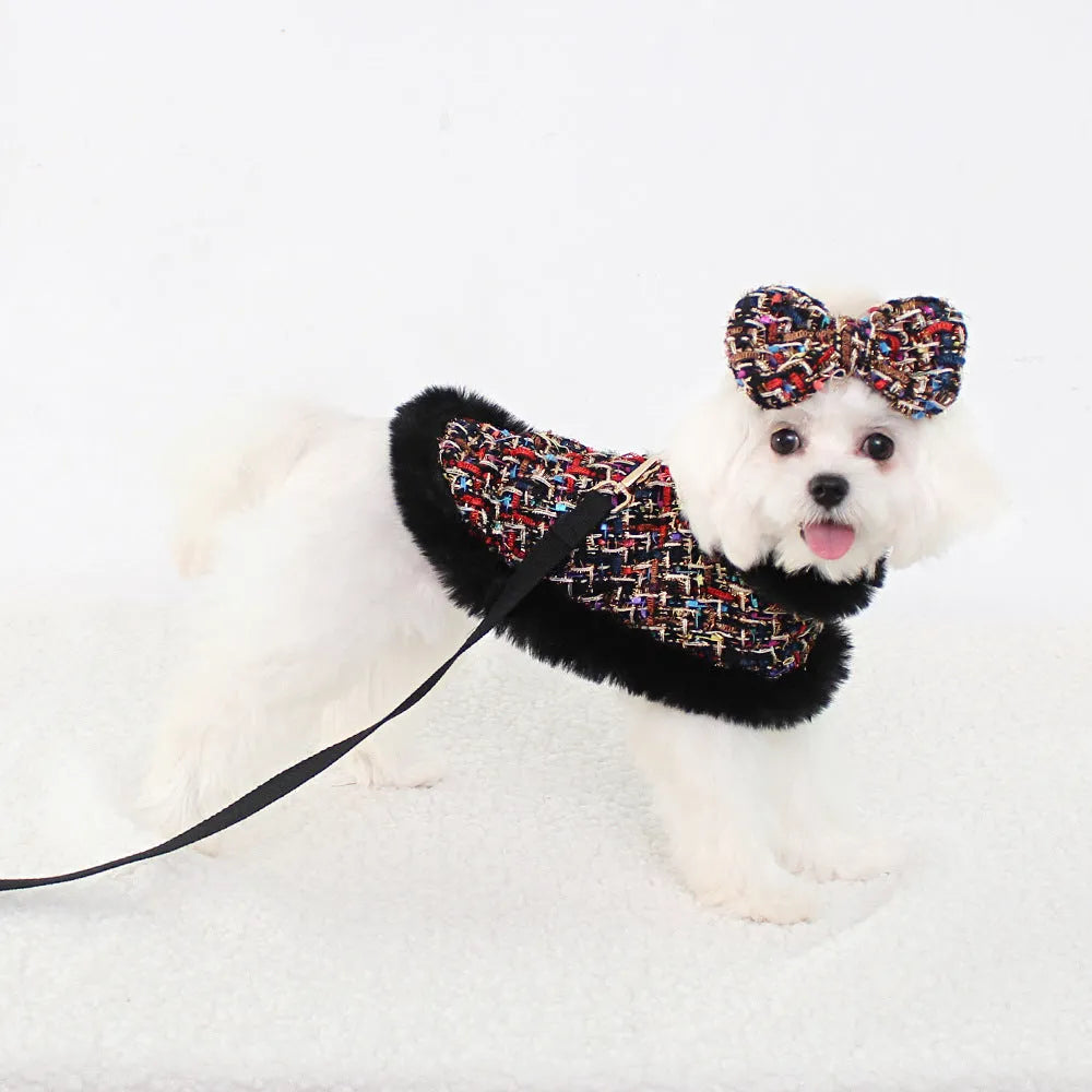 A dog wearing a classic cloth cloak attached to a chest harness, with an integrated hand-holding rope lead.