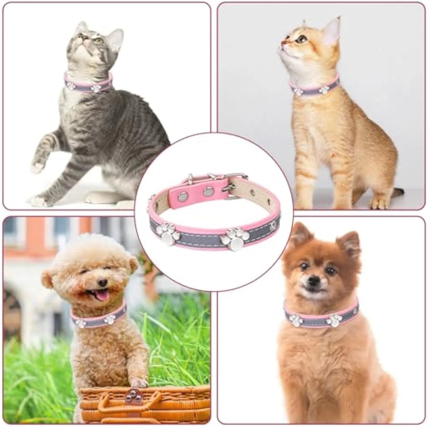 Reflective leather dog collar with paw rivet design in adjustable sizes for dogs