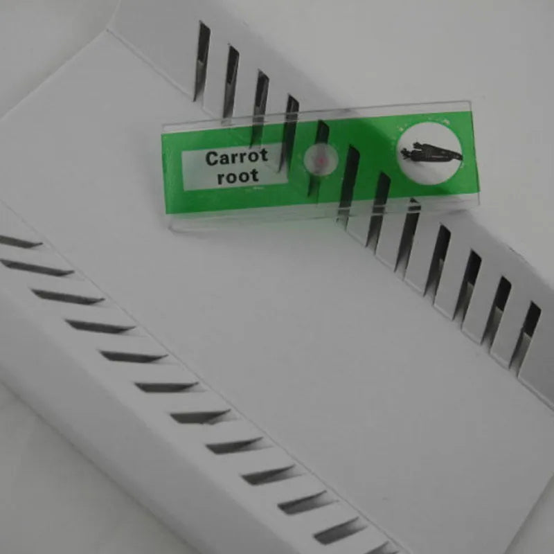 Set of 48 colour-coded plastic microscope slides for children, showing plant, insect, and animal specimens.