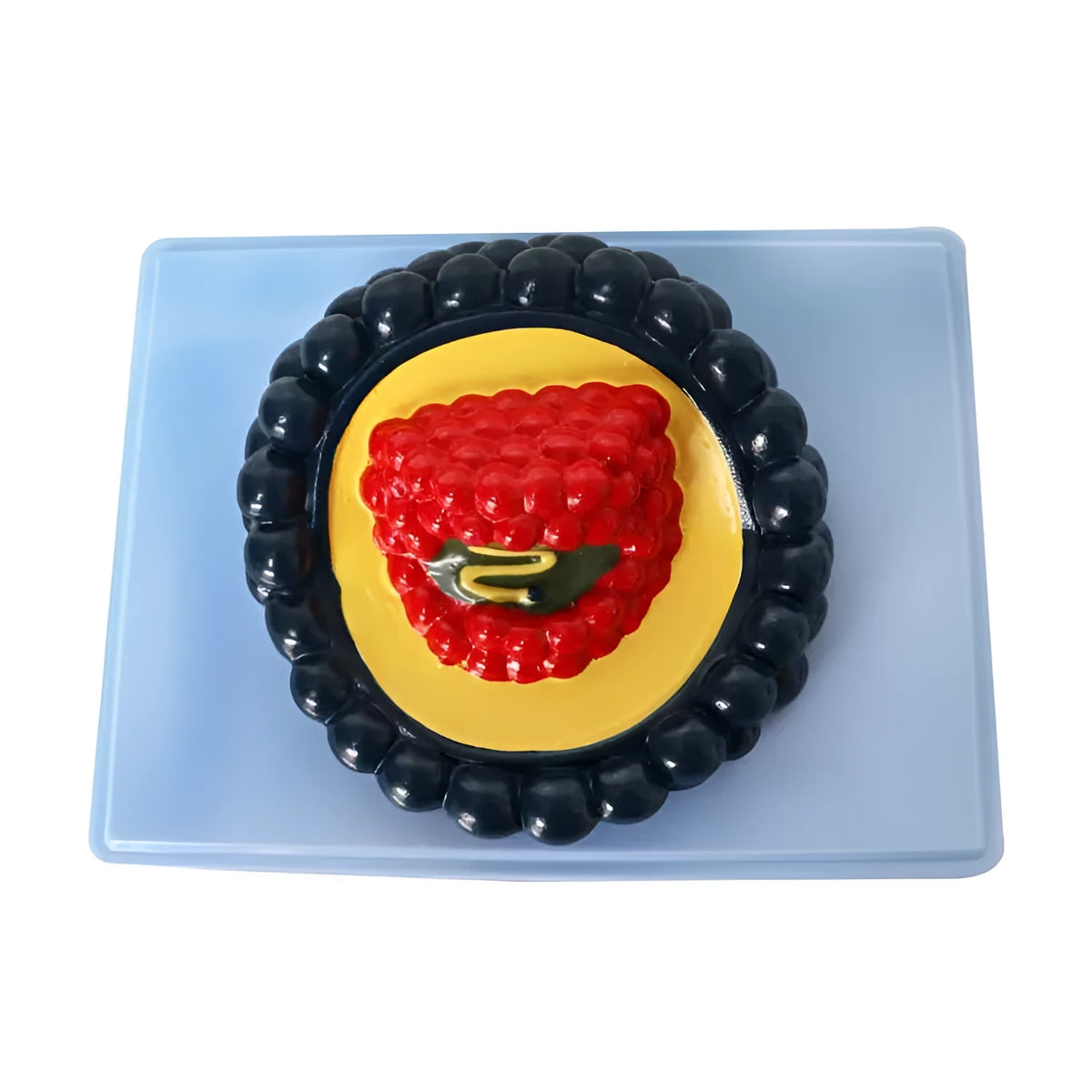 Black PVC virus biological model measuring 20x15x7cm for science education