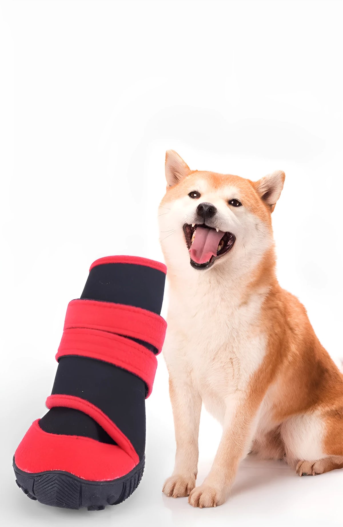 Waterproof pet shoes with wet suit fabric body, beef sole and multi-toothed non-slip tread in red or blue