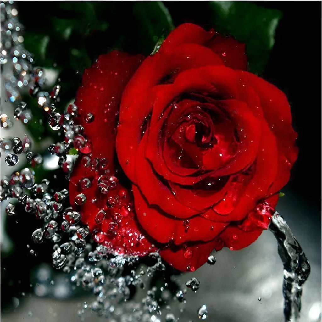 Hand-painted digital oil painting of red rose on linen canvas measuring 40x50cm