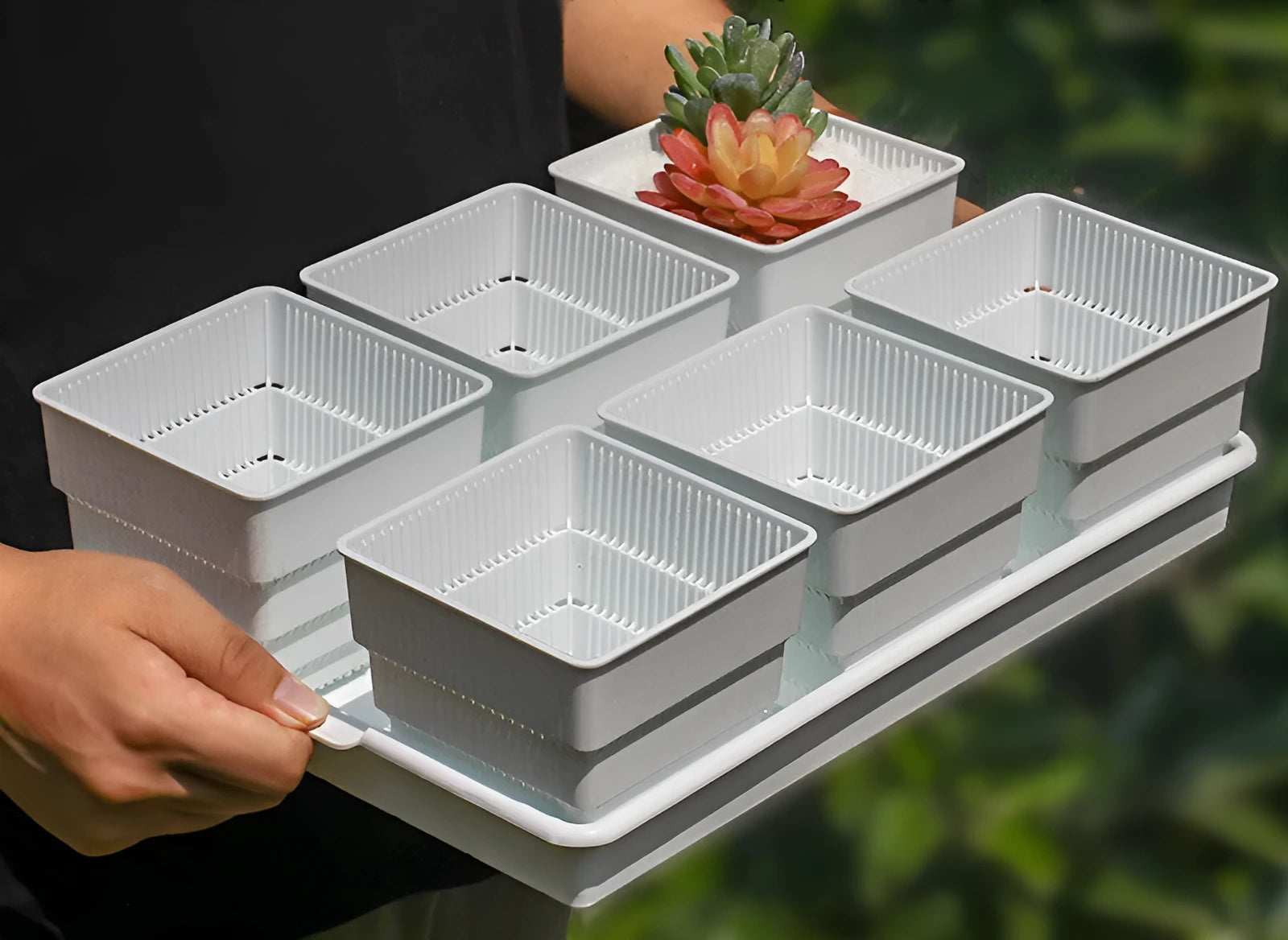 Meishi Controlled Root plastic flower pot set showing tray with multiple basins in black and white colours