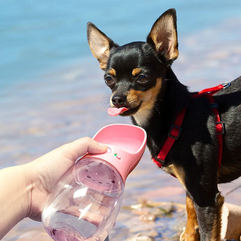Portable dog and cat water bottle with food grade ABS sink, transparent PC cup, and silicone sealing ring in blue.