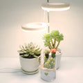 LED plant growth lamp with full spectrum lighting on office desk beside potted succulent