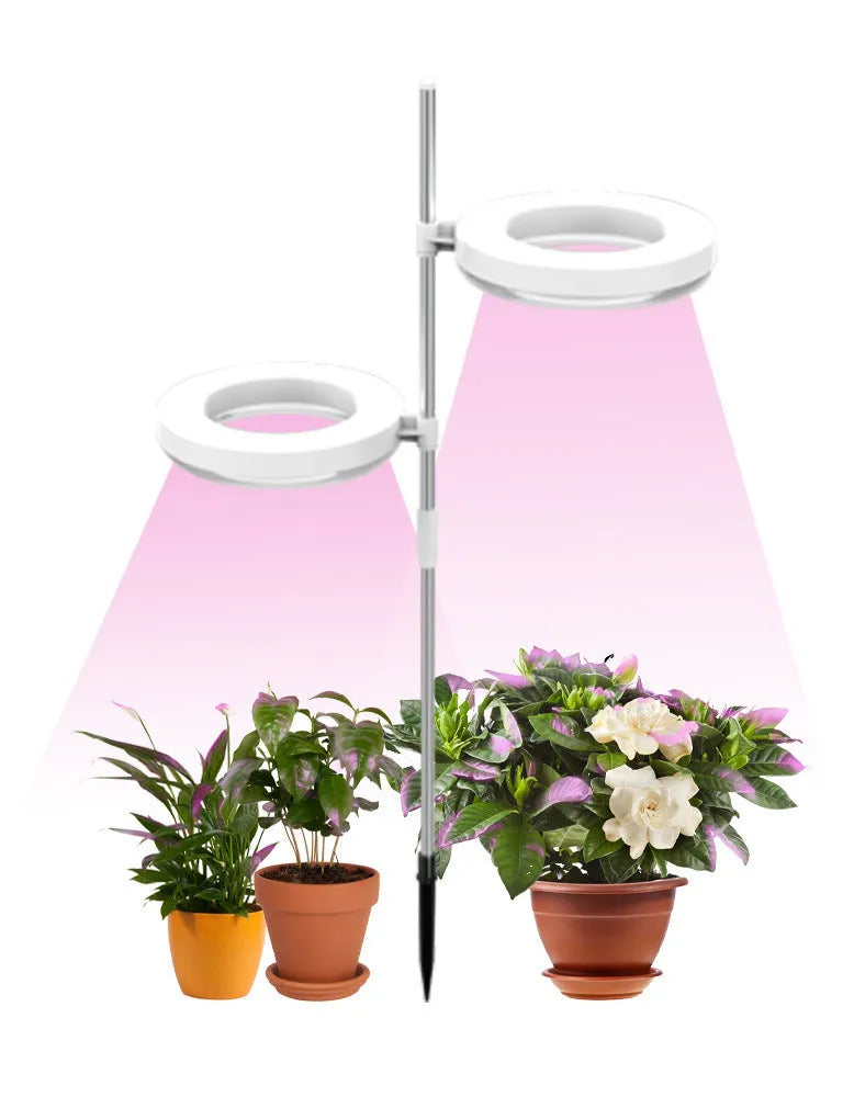 LED plant growth lamp with full spectrum lighting on office desk beside potted succulent