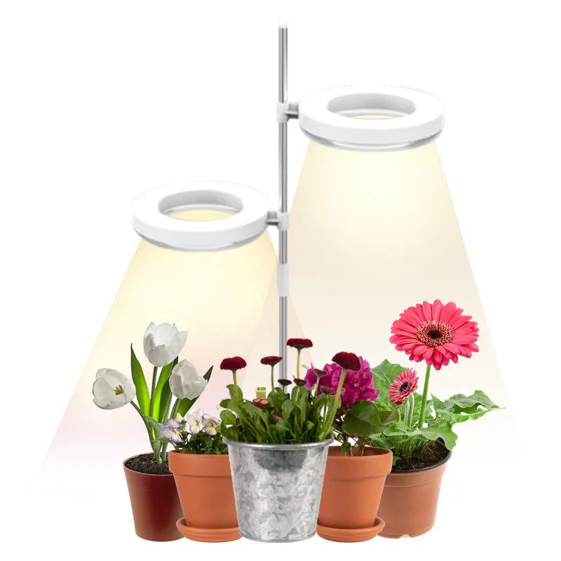 LED plant growth lamp with full spectrum lighting on office desk beside potted succulent