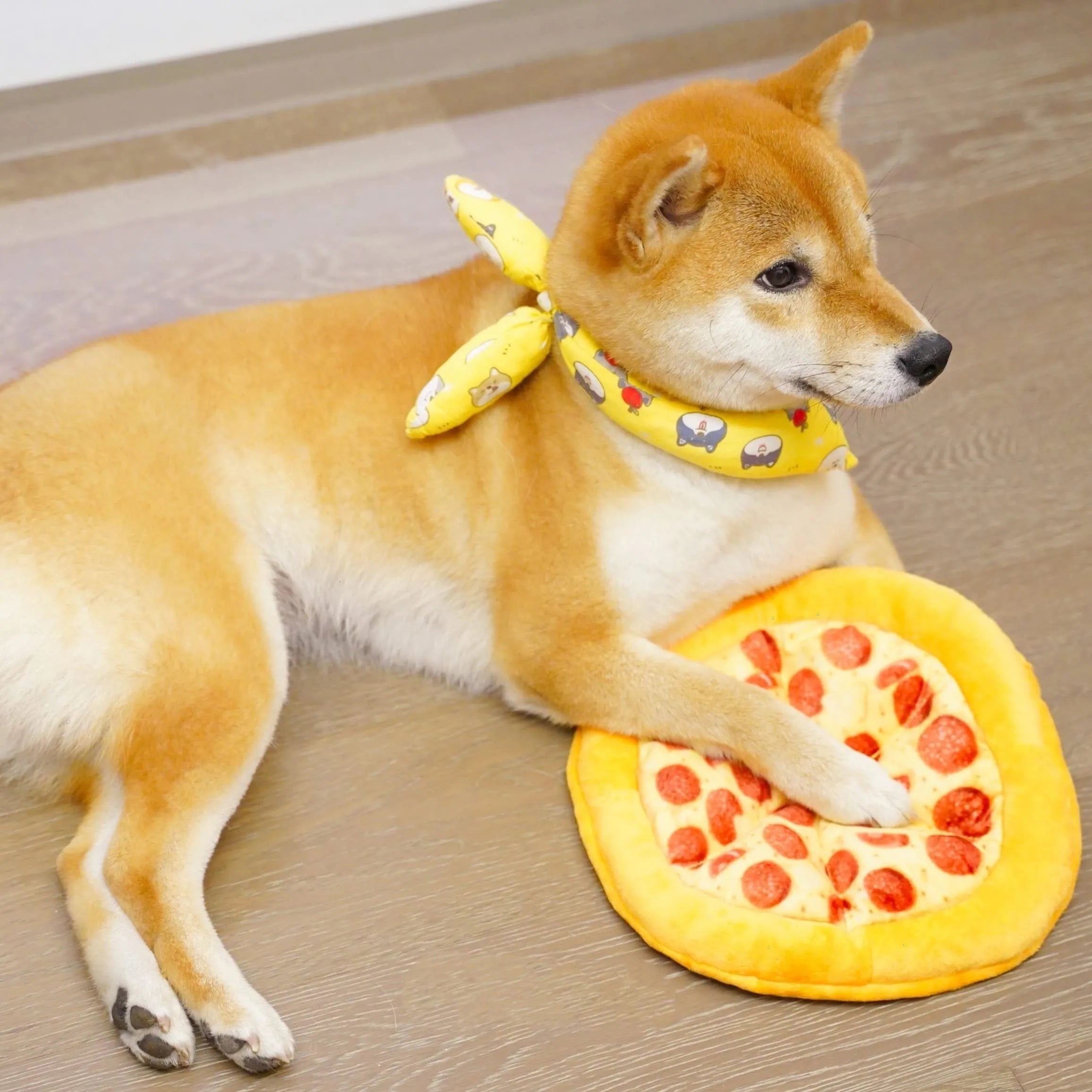 Yellow teddy pizza slice dog chew toy with textured surface and squeaker, 17 cm long.