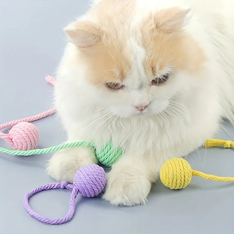 Colourful cat toy ball with rope attachment and internal bell for interactive kitten play